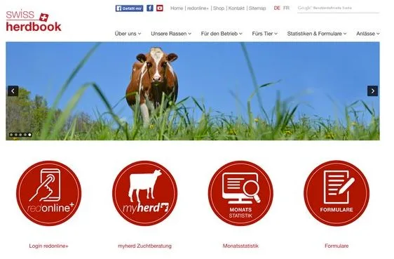 93e39e52ae3b463b158aab7c318fb98157daddad Die Website ist neu strukturiert. (Bild swissherdbook)