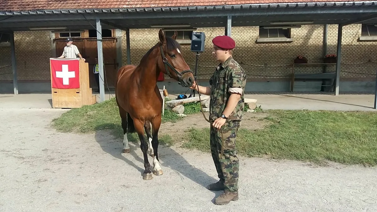 pferd_versteigerung_hefenhofen Hof von Hefenhofer Pferdezüchter für 1,83 Millionen versteigert