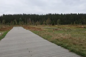 Die Moorlandschaft La Chaux-des-Breuleux bei Tramelan, Bern sei mit 283 Hektaren die drittgrösste der 89 Moorlandschaften von nationaler Bedeutung. (Bild FLS)