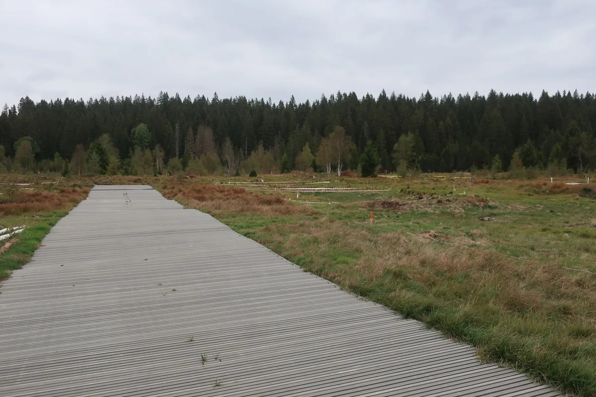 6228493f6f1c066d6ad2d8ef5d451548b989c7b3 Die Moorlandschaft La Chaux-des-Breuleux bei Tramelan, Bern sei mit 283 Hektaren die drittgrösste der 89 Moorlandschaften von nationaler Bedeutung. (Bild FLS)