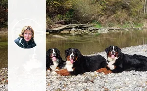 Regula Bürgi vom Schweizerischen Klub für Berner Sennenhunde stellt fest, dass die Nachfrage nach der Hunderasse gross ist.
