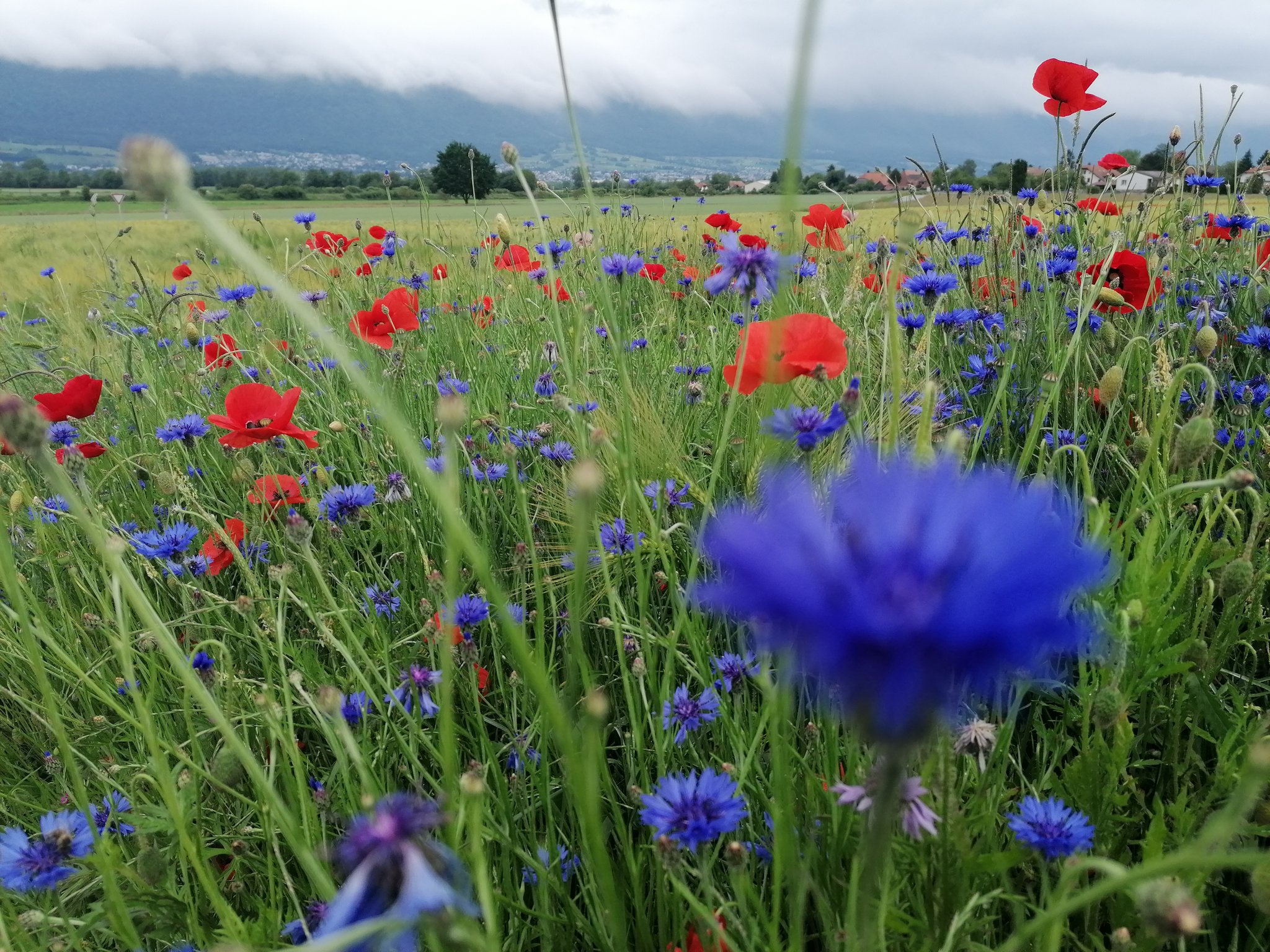 In der Vielfalt liegt die Kraft