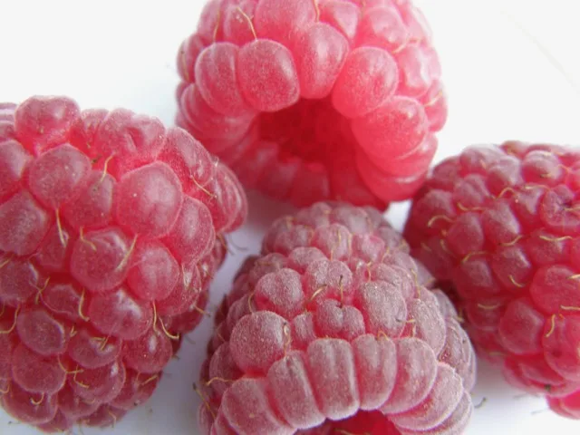 d122d3701b5c43df198b2246fe8cf3e6c411e7f5 Himbeeren haben bis Juli bis Anfang Semptember Saison. (Bild Isolde Frick, landwirtschaft.ch)