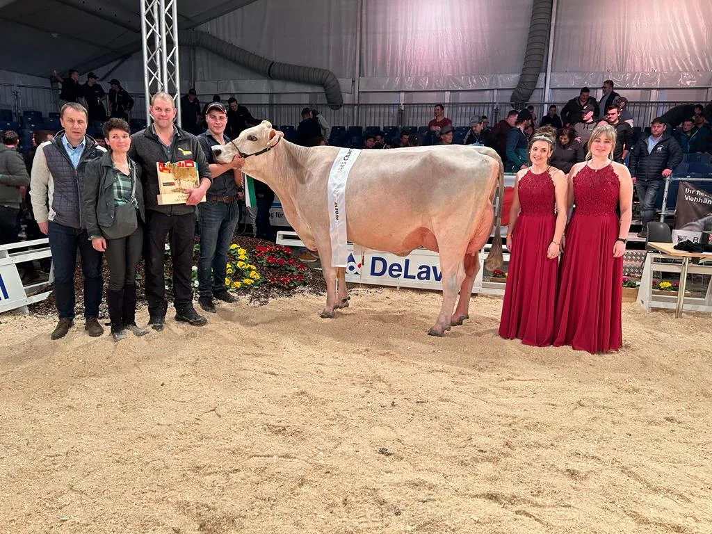 Champion IGBS-Schau 2023: Phil Pinia ist die neue Champion