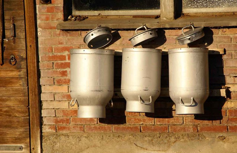 Mit 3,45 Millionen Tonnen Milch lag die produzierte Menge um 0,6 Prozent über dem Vorjahr. (Adrian Pfiffner/landwirtschaft.ch)