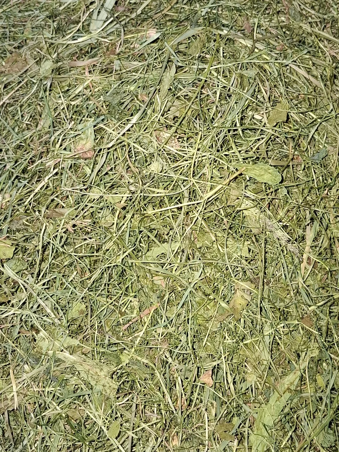 Mit Sensoren die Wiederbefeuchtung am Heustock vermeiden