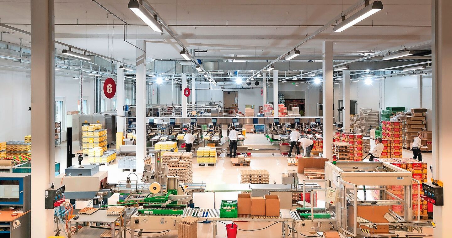 Die F&F SA/AG verarbeitet im luzernischen Schötz jährlich weit über 130 Mio Eier von über 60 Legehennen-Betrieben. Grosse Abnehmer sind Aldi und Lidl.