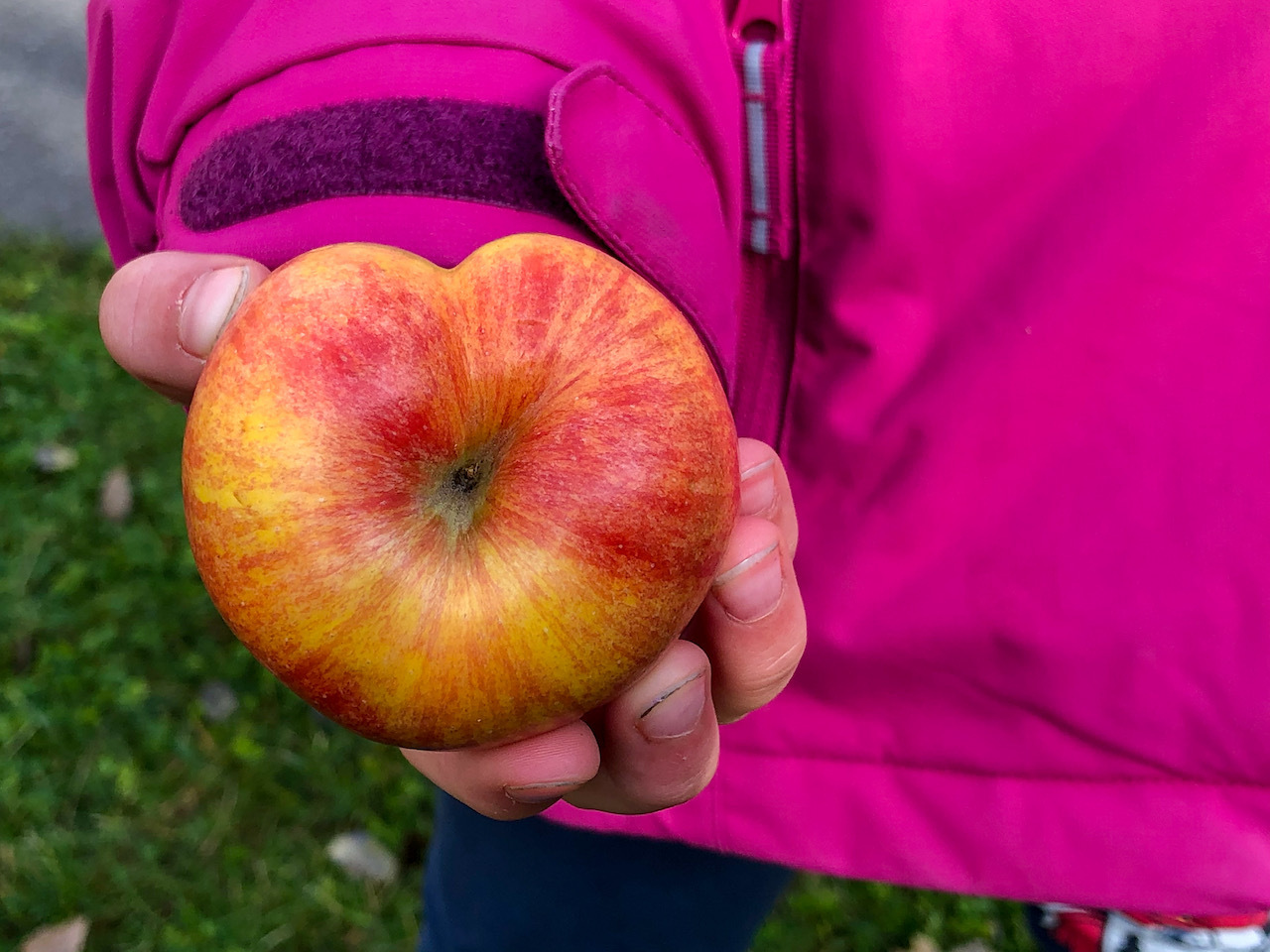 Das Pilotprojekt in Arbon sei einzigartig und verspricht, Food Waste und Armut gleichzeitig zu verhindern. (Bild Olivia Menzi / Verein Mehr als Zwei)