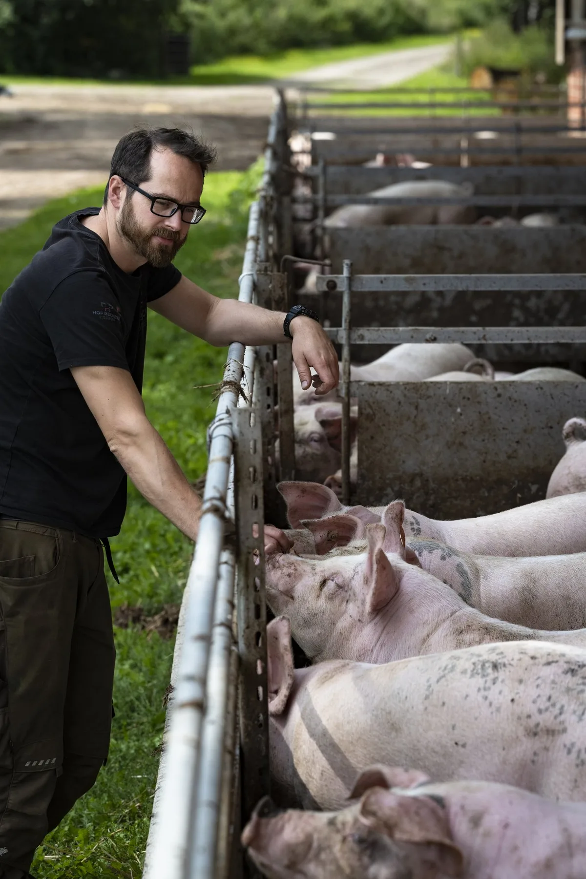 christophbecker_jaworr_01 Dank dem Buzzer entscheidet das Schwein selbst