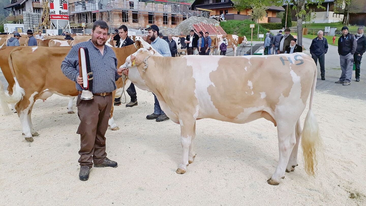 Miss Schöneuter bei den Simmental wurde Belinda von Vereinspräsident Markus Thalmann