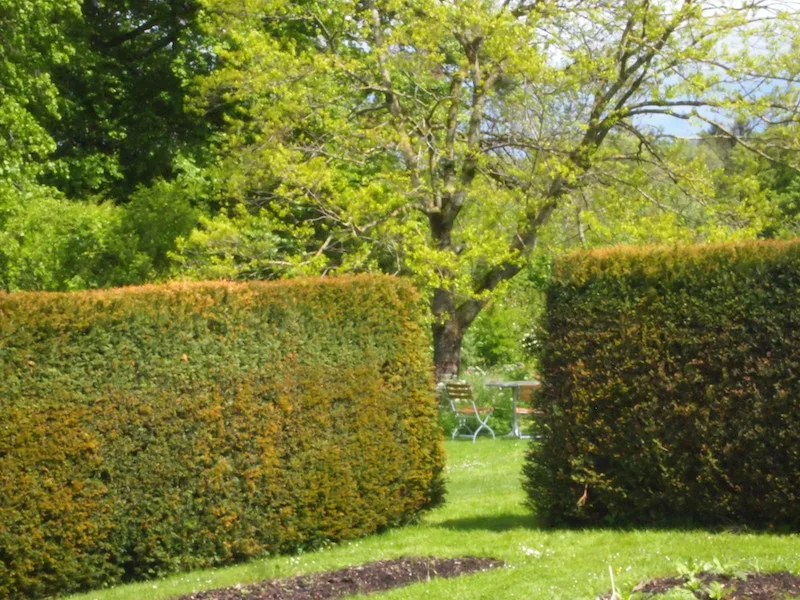 02eab81678527d3fc4e5a3ed9ad53a1829232264 Familie Schweizer möchte meist ein hohes Mass an Privatsphäre: Geschlossene Heckenkörper wirken kompakt und undurchlässig. (Bild Ruth Bossardt)