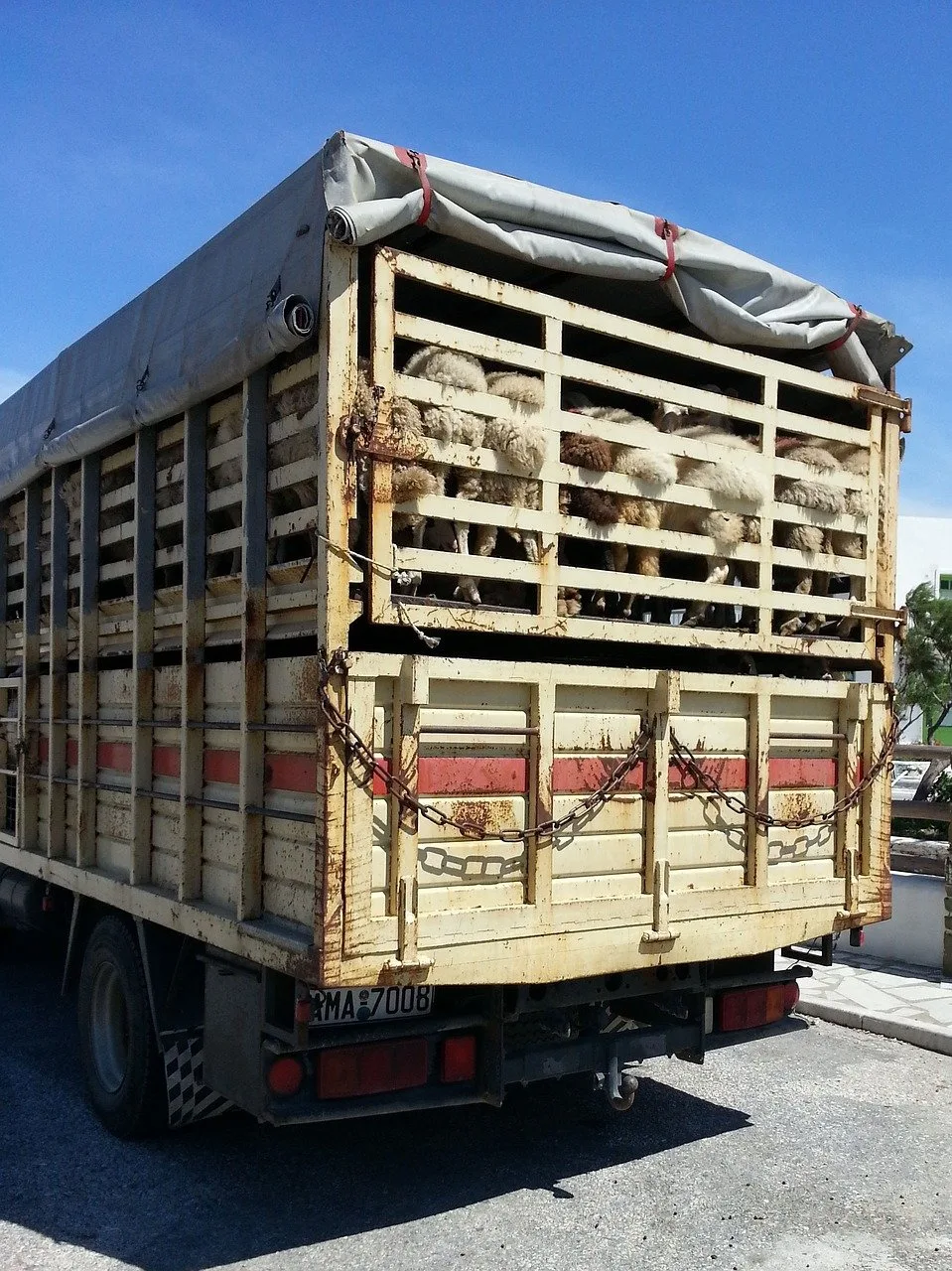 crammed-together-672177_1280 «Sollte uns zu denken geben»: Nationalrat stimmt der Motion zu