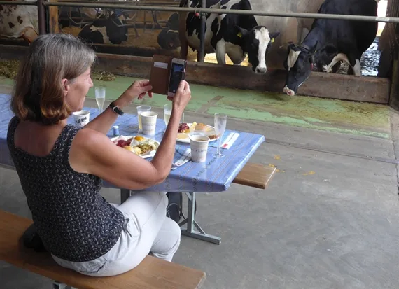 585d09c70f663f4c7e6f1493ea849394ad478051 Das Schöne beim Brunch: Frühstücken mit Blick auf die fressenden Kühe. (Bild akr)