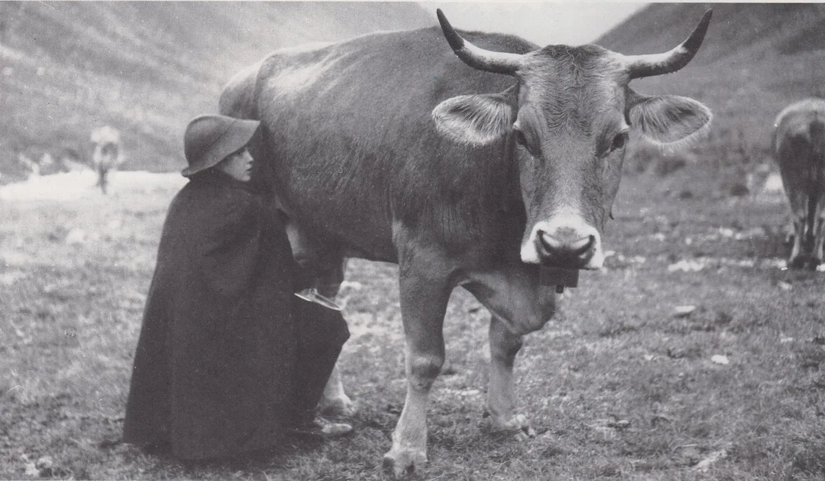110_Jahre_SBVZ_Wegen_den_hohen_Kosten_entschied_man_sich_fuer_die_Milchkontrolle_durch_den_Besitzer Als Braunvieh Schweiz die Milchleistungsprüfung einführte