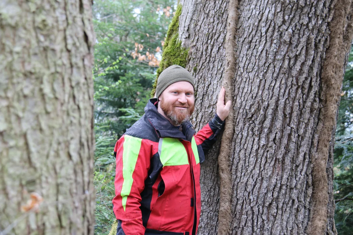 OliBieri1 Der Wald muss sich wandeln