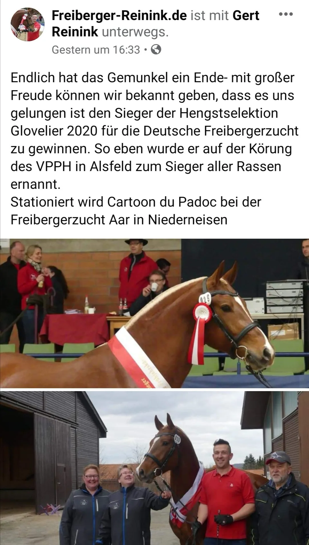 7511457f354a266805ff4b9e4f188426566deab0 Der Facebook-Post zur Körung von Freiberger-Hengst Cartoon du Padoc