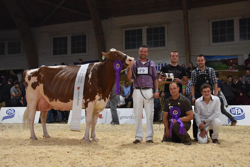 aa95309423b4a09aeee2ab4b2194e802c53db8bc Die Grande Championne Armani Andressa und ihr Vorführ-Team. (Bilder jba)