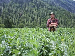 In der Ausbildung habe er zu wenig über den Boden gelernt, findet Marcel Heinrich. Umso interessierter war er, im Projekt klimaneutrale Landwirtschaft Neues zu lernen.