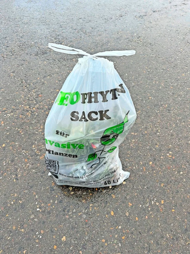 3da7a34910a5ddfe909e427d70692e58eac752a2b76cd087609a473df268c0cf Der Neophytensack fasst 60 Liter und ist kostenlos bei den Gemeinden erhältlich.