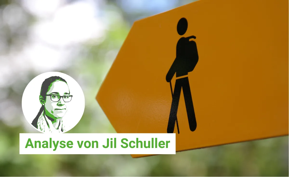 Artikel_Analyse_BauZ_JSCPionier Pioniere sind Wegweiser, keine Strassenbauer – Trotzdem lohnt es sich, ihnen zu folgen