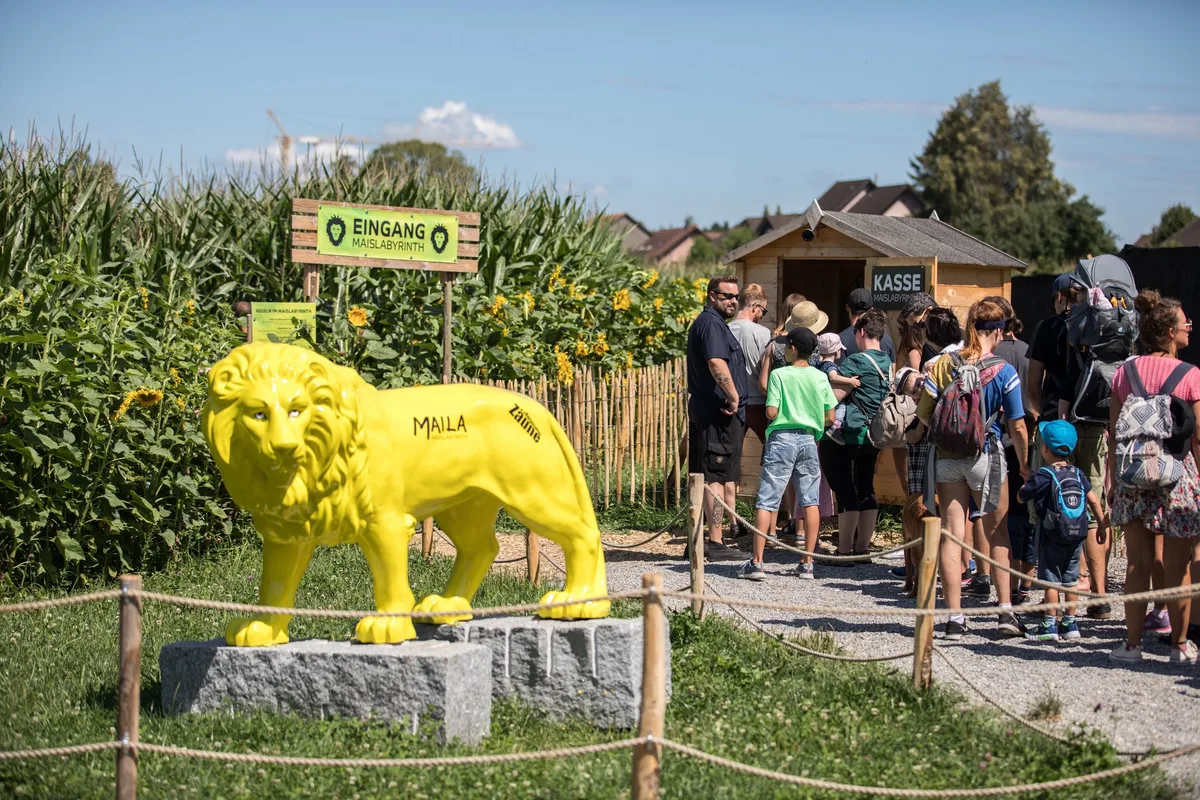 os_11_f_maislabyrinth_stue Neues Feld für thurgauisches Maislabyrinth gesucht