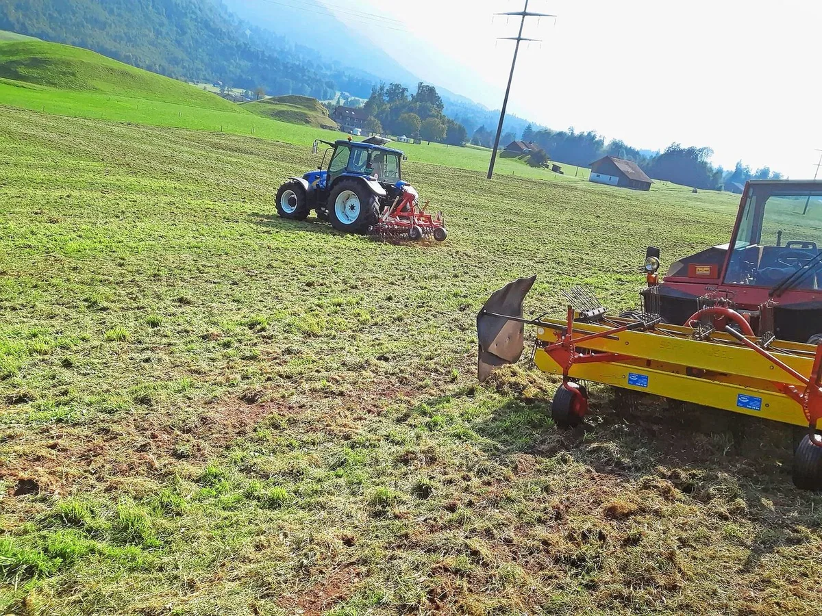 Besteht ein Filz im lückigen Grasbestand, sollte dieser vor der Übersaat ausgestriegelt und das Material allenfalls abgeführt werden.