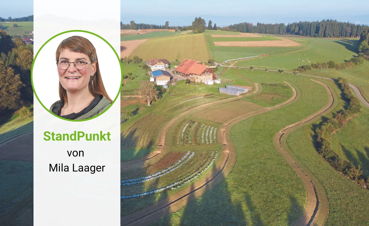 Standpunkt_DG StandPunkt von Mila Laager: Keyline-Systeme in der Praxis testen
