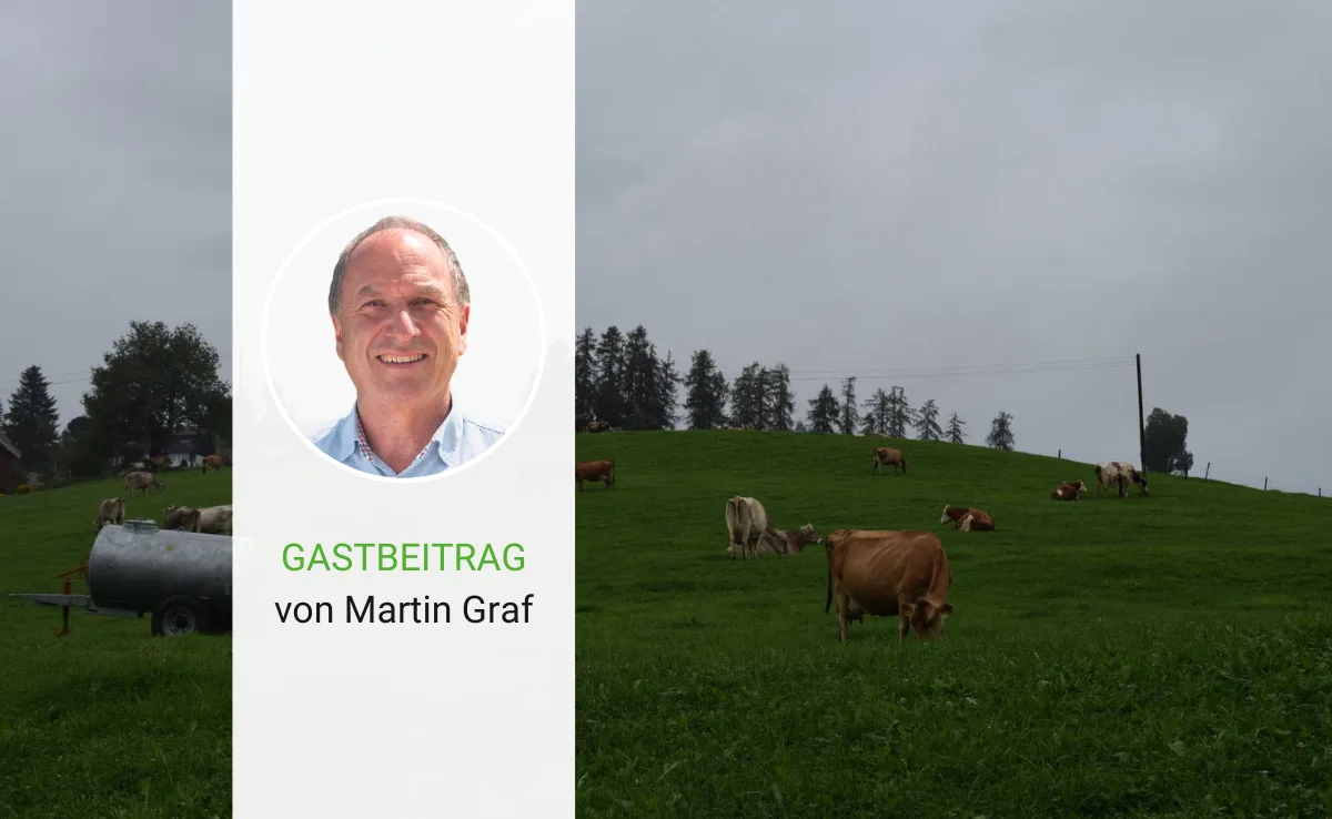 Artikel_Gastbeitrag_BauZ_Graf Wiederkäuer stehen zu Unrecht in der Kritik