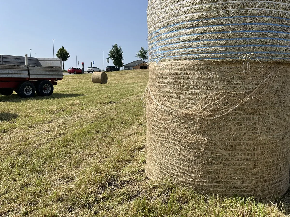 Neuseeländer Landwirt entwickelt fressbares Rundballennetz aus Jutefasern