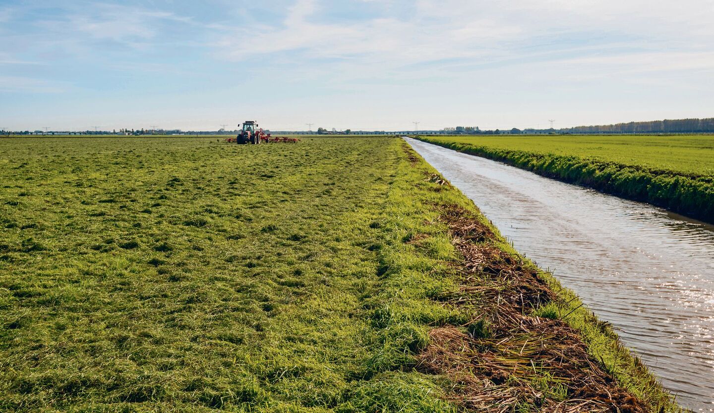 Werden Bäche und Flüsse revitalisiert, kommt es auf der angrenzenden Landwirtschaftsfläche zu Nutzungseinschränkungen und -verboten. Kompensationen werden nur für grosse Projekte gesprochen.