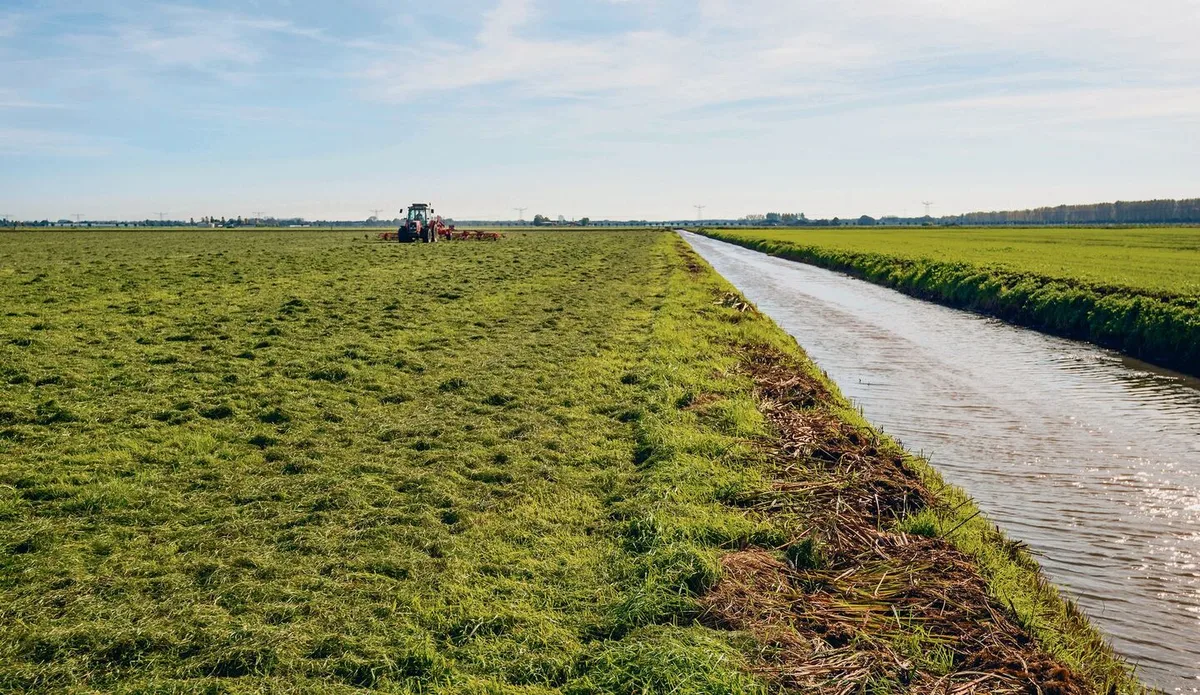 Werden Bäche und Flüsse revitalisiert, kommt es auf der angrenzenden Landwirtschaftsfläche zu Nutzungseinschränkungen und -verboten. Kompensationen werden nur für grosse Projekte gesprochen.
