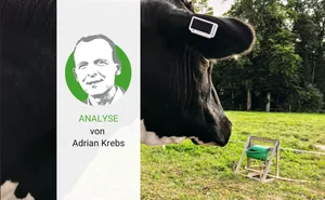 Wie ein verlängerter Arm des Staats: Solarbetriebene smarte Ohrmarken im Versuch von Agroscope und Identitas.
