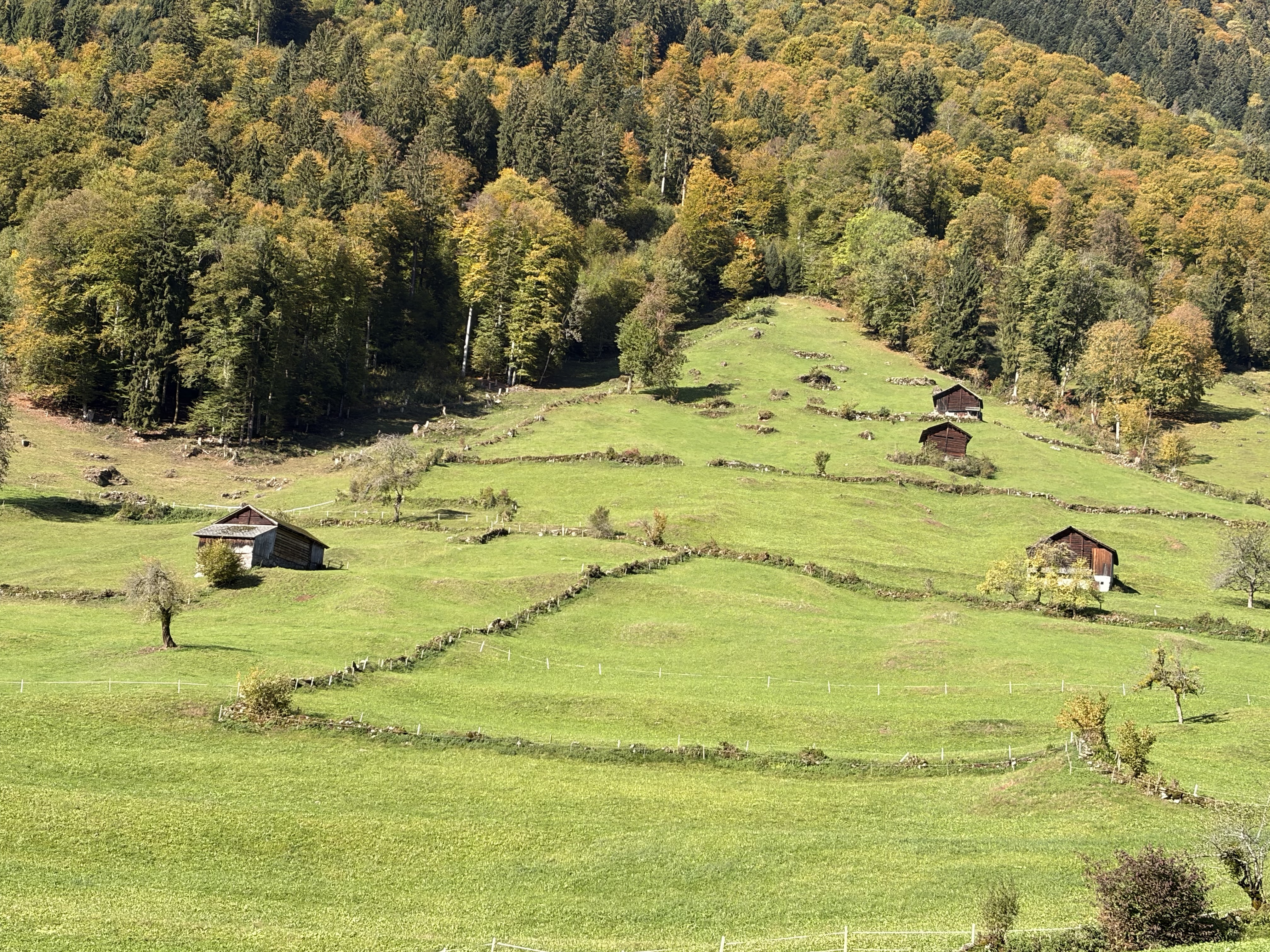 Traditionelle Glarner Gadenlandschaft: Die Ställe im Weiler Thon oberhalb von Schwanden werden noch landwirtschaftlich genutzt.
