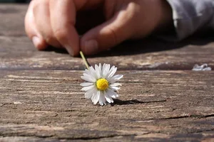 Die vermittelten Fachpersonen kennen die Bedürfnisse der Menschen auf dem Land (Symbolbild Pixabay)