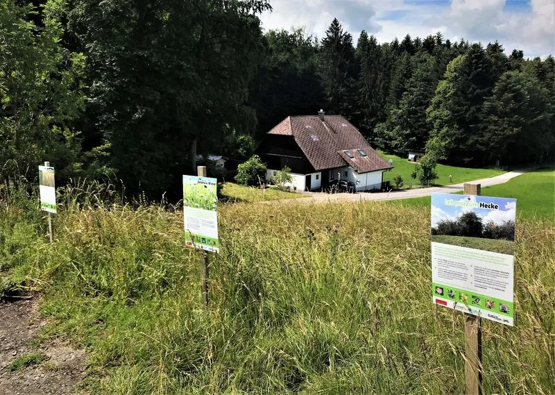 d9925e0960247fcc8ede305f264516a093f74684 Die Aktion «Erlebnis Bauernhof 2020» will der Bevölkerung die Landwirtschaft kreativ und spielerisch näherbringen. (Bild lid)