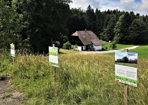 Die Aktion «Erlebnis Bauernhof 2020» will der Bevölkerung die Landwirtschaft kreativ und spielerisch näherbringen. (Bild lid)