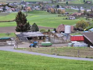 Das Bauernhaus ist bis auf die Grundmauern niedergebrannt.