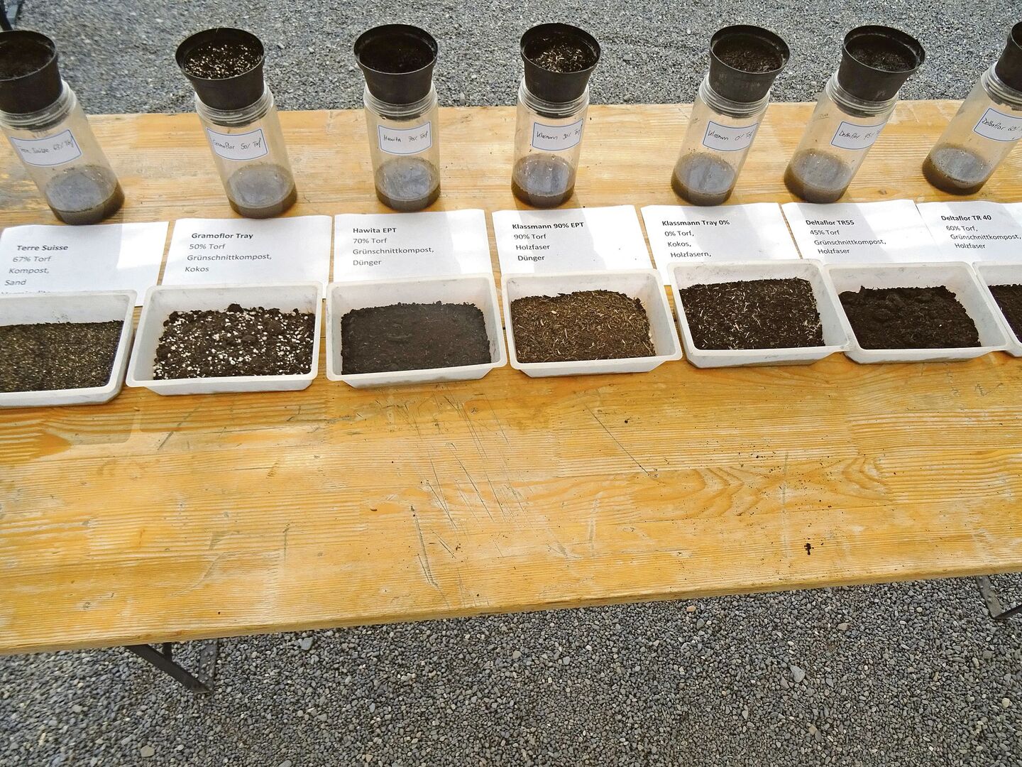 Interessant ist, dass nicht der Topf mit 90 Prozent Torfanteil am meisten Wasser aufnahm, sondern derjenige mit 70 Prozent.