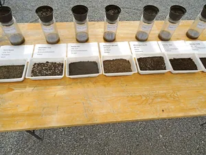 Interessant ist, dass nicht der Topf mit 90 Prozent Torfanteil am meisten Wasser aufnahm, sondern derjenige mit 70 Prozent.