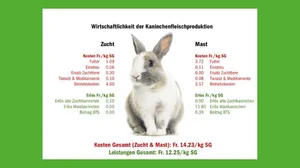 Die Produktion von Kaninchenfleisch ist ein Verlustgeschäft. (Grafik dr/Quellen Agroscope, Agristat)
