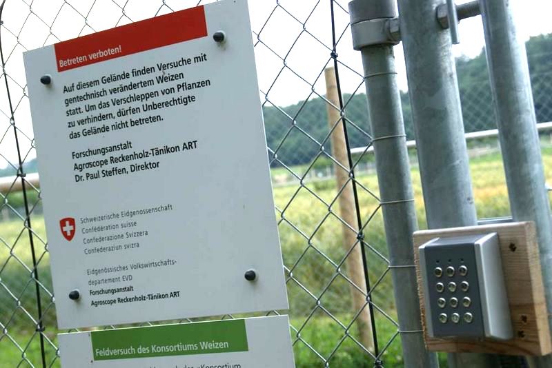 Ist die Gentech-Akzeptanz höher als glauben gemacht wird?