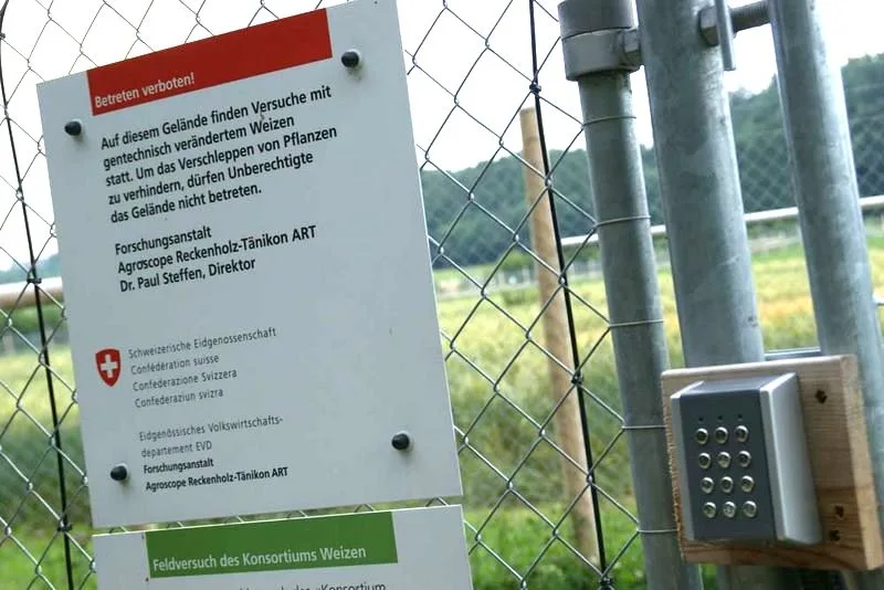 gentech-lid Ist die Gentech-Akzeptanz höher als glauben gemacht wird?