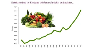 Der Gemüseanbau im Freiland wächst in der Schweiz seit Jahren. Infografik: Doris Rubin / «die grüne»