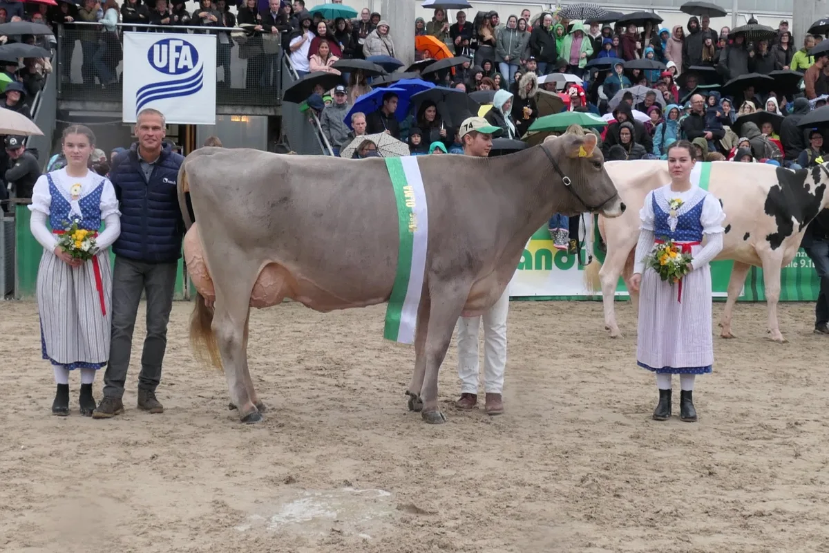 MIss_BS_min Miss Olma Brown Swiss ist Berna von Renzo Blumenthal