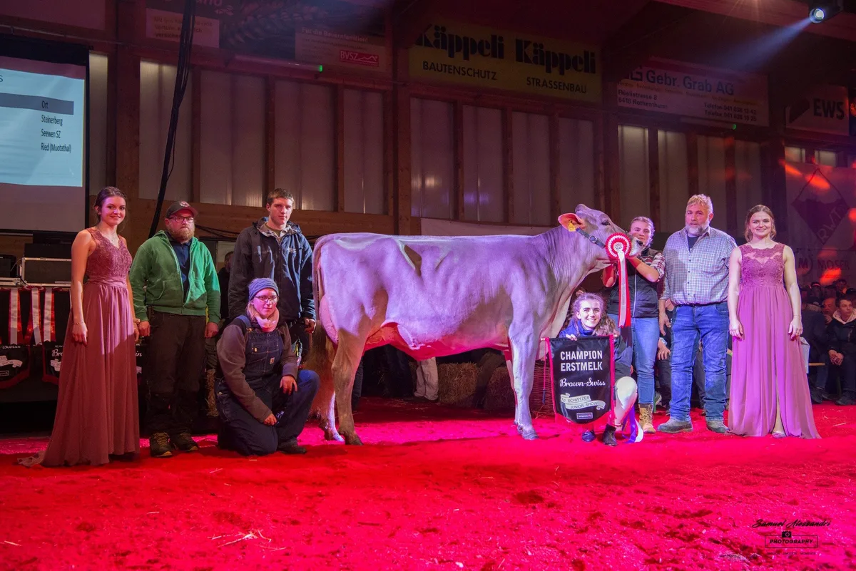 BSKuhmiss Erfolgreiche Jubiläumsausgabe der Schwyzer Junior Show