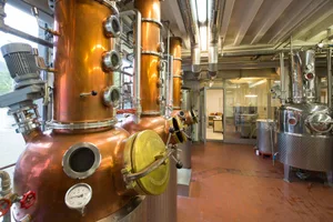 Anstatt in die Brennerei sollen die Kirschen in die Konserven. (Bild Schweizer Brenner)