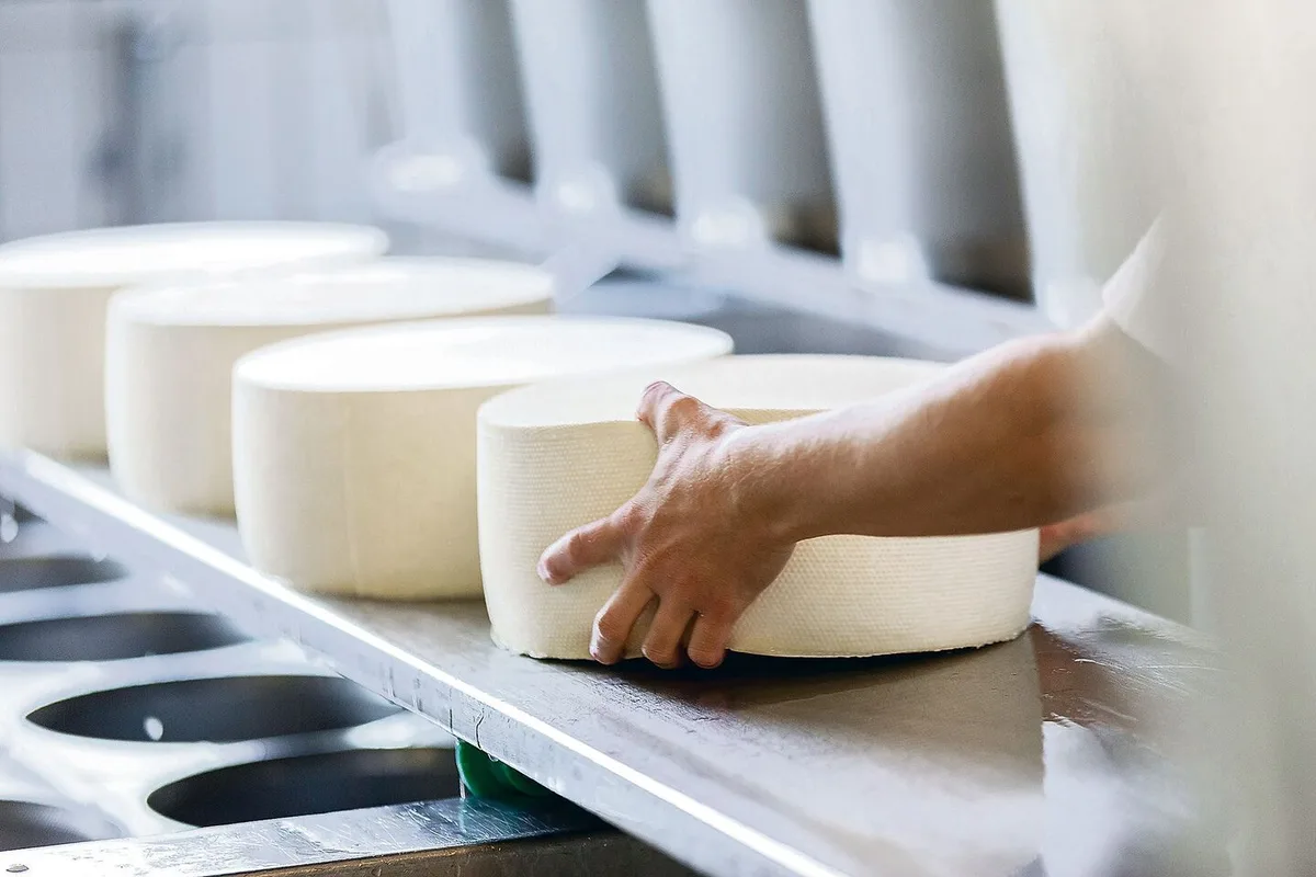 Grosse Unternehmen befürchten aufgrund der unterschiedlichen Verwendung der eingekauften Milch mehr administrativen Aufwand durch die direkte Auszahlung der Milchzulagen.