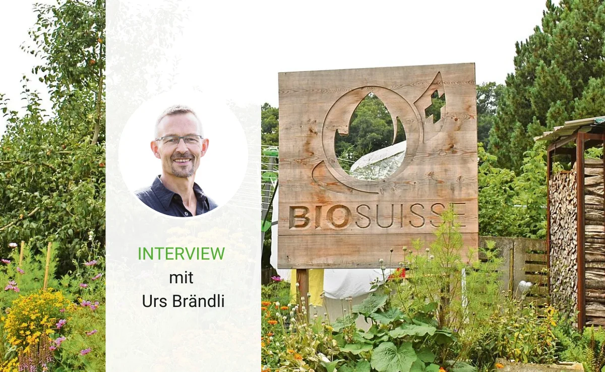interview-urs-braendli-7 «Das Problem sind nicht die Margen, sondern die ewigen Aktionen»