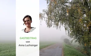 Damit sich der Nebel im Gesundheitswesen lichtet, bräuchte es eine Neuorganisation des Systems, findet unsere Gastautorin Anna Luchsinger.