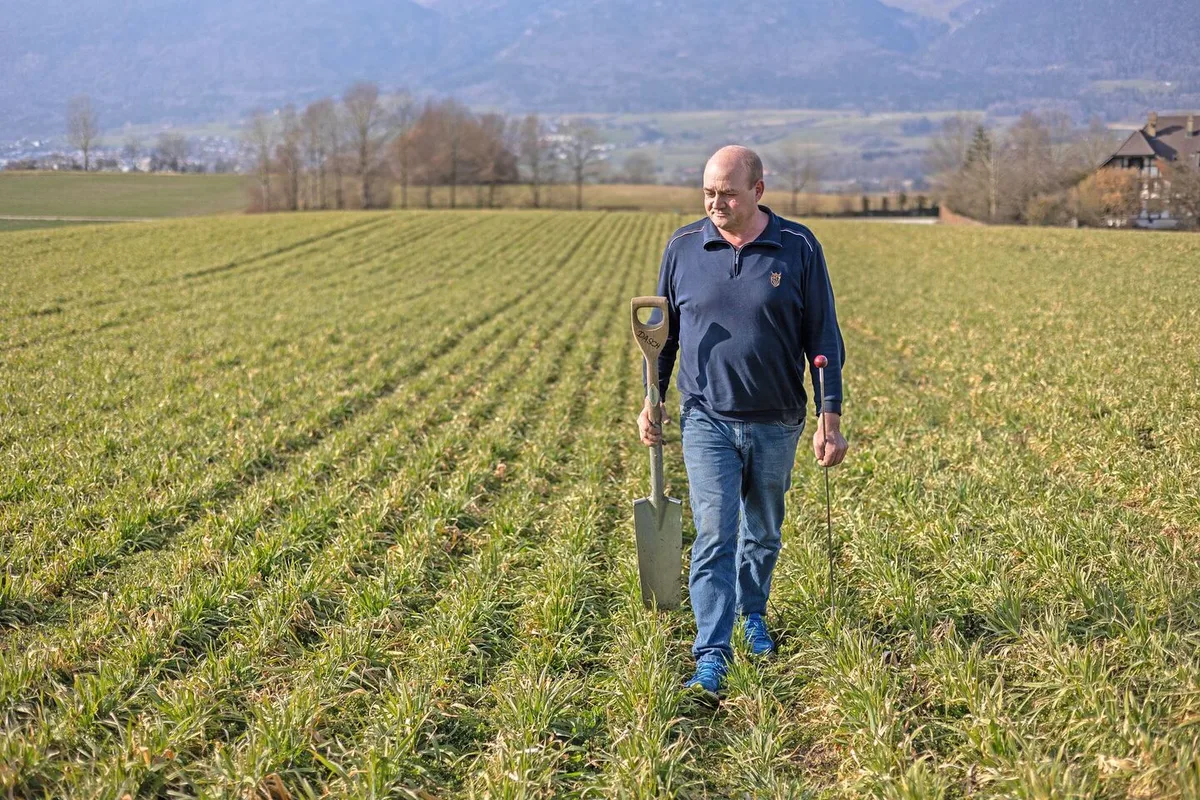 Vor der Bodenbearbeitung schaut Schwab, wo die Regenwürmer sind.